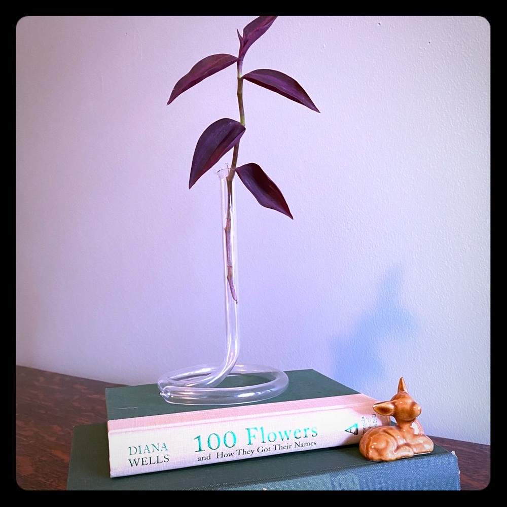Vintage swirl propogation vase